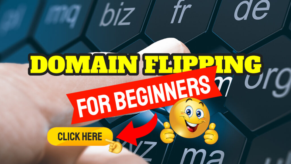 domain flipping for beginners