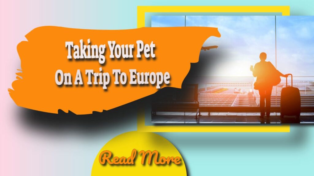 taking your pet on a trip to europe