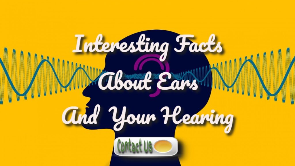 What Are Ears? What Do They Do? How Can I Keep My Ears Healthy