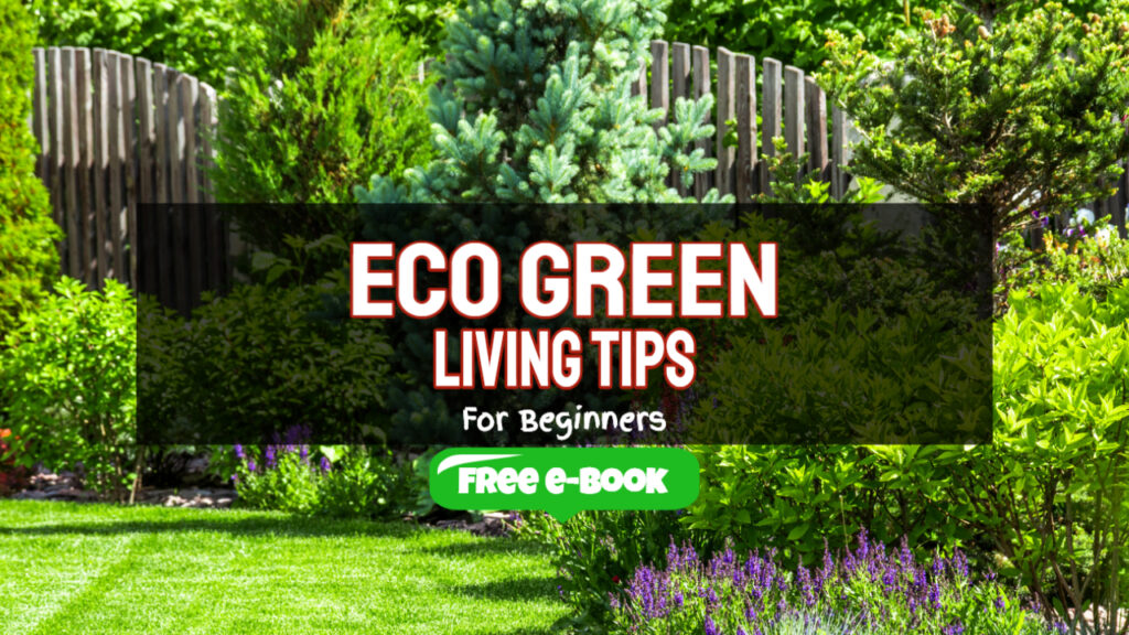 eco green living tips for beginners