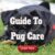 Guide To Pug Care