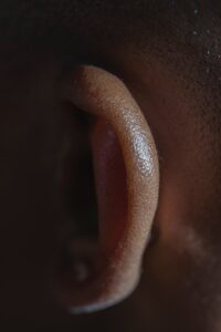 picture of ear