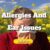 The Link Between Allergies And Ear Issues