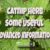 The Ultimate Guide to Catnip for Cat Lovers