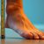 Wide Feet: Easy Ways to Determine Your Shoe Size