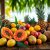 Enjoy Summer in Belize with Local Fruits