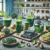 Food Trends 2025: Insights from Culinary Experts