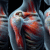 Acupuncture for Effective Relief from Frozen Shoulder