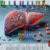 Liver Blood Test Insights from Salford’s Advanced Experts