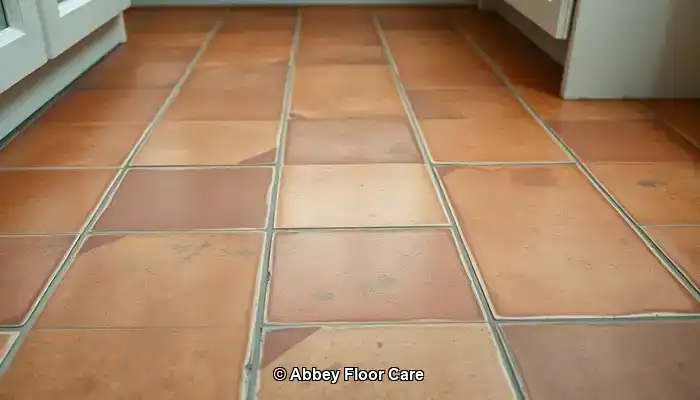 Understanding Factors Leading to Quick Dirt Accumulation on Terracotta Tiles