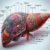 Liver Blood Test Guide for Maidstone Residents: All You Need to Know