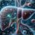 Best Herbs for Liver Detox: Top UK Picks You’ll Love