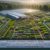 Quality Herbs: A UK Guide to Sourcing the Best